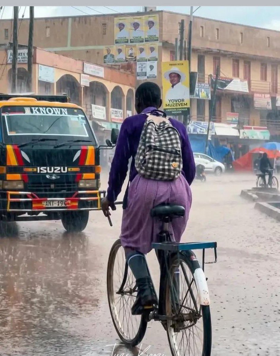 arnold_king🤴 tweet media