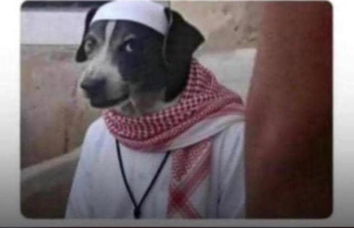 OLUWA BUKUNMI❤️🇳🇬 tweet media