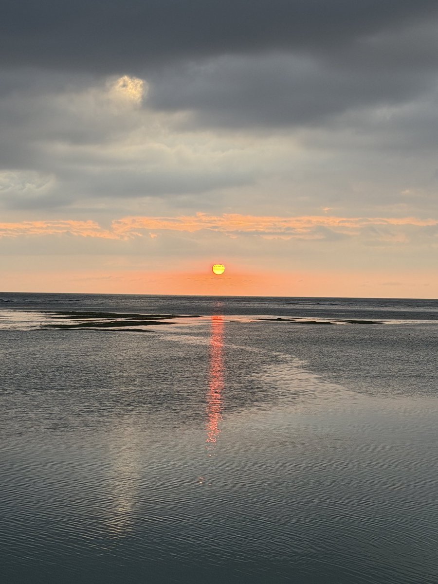 shu作🏃🏀🏸🏐📷 tweet media