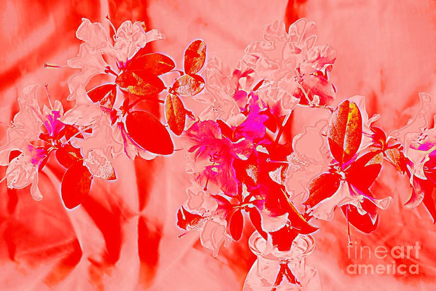 photographervin's tweet image. #Spring Pink Flowers.
alexander-vinogradov.pixels.com/featured/sprin…
#nature #happy #beautiful #art #flowers #love #floral #garden #botanical #AlexanderVinogradovphotography #giftidea #BuyIntoArt #ayearforart #wallart #homedecor #interiordesign #artforsale #artprint #photography #fineartphotography