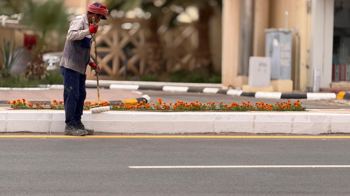 بلدية الرس tweet media