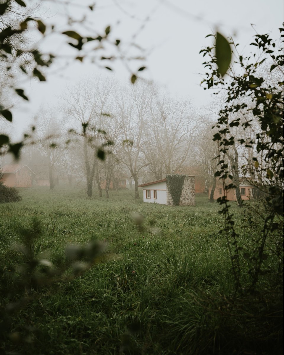 viltroxpublic's tweet photo. These atmospheric street and landscape shots are masterfully captured by the Viltrox AF 25mm F1.7 Air—its 35mm-equivalent classic focal length delivers a timeless, natural perspective to authentically document everyday life, while the bright F1.7 large aperture ensures exceptional image quality even in low-light conditions. 📸✨
Credits: @lucia.garo

#viltrox #viltrox25mm17 #viltrox25air #35mm #photography #streetphotography #viltroxairseries #viltrox25f17 #sony #sonylens