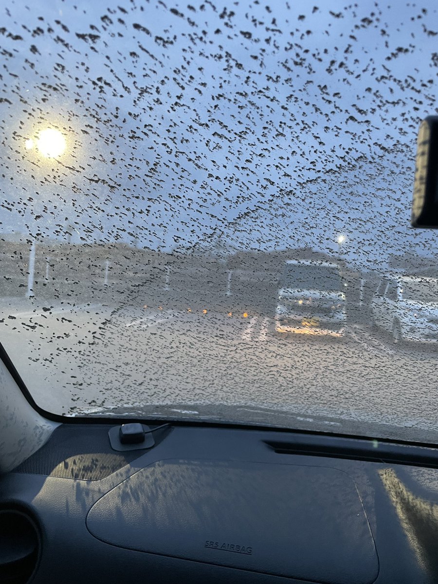 ギムラ＠中小企業診断士試験R8年度合格目標 tweet media