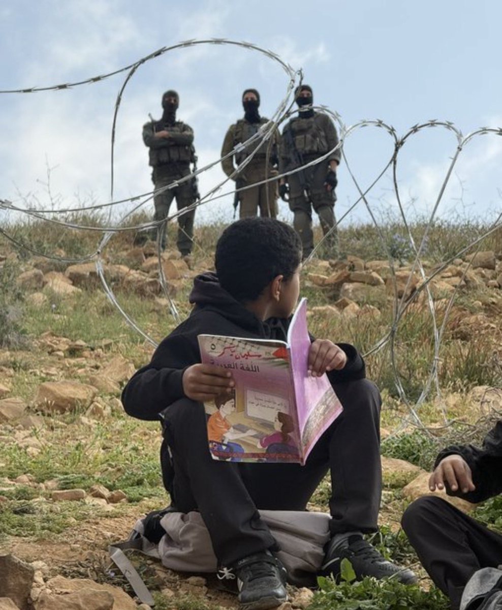 Alper Temurî tweet media