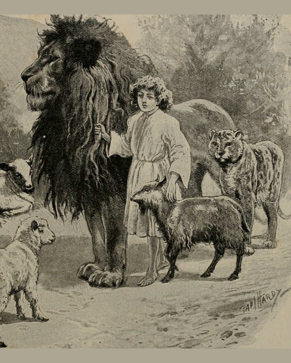 The great mistake we make is to look around us at a broken world and assume this is what God intended for us to experience. 

It is not. It is a fallen world, deeply corrupted away from what He made. 

The tears and pain and suffering and injustice and confusion were not His