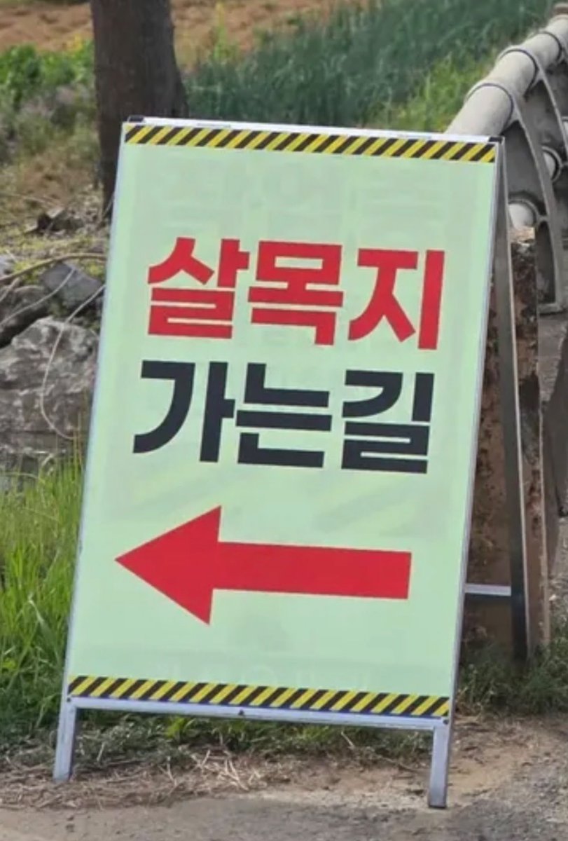 뚱인데요 tweet media