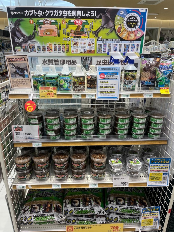🟪＃キセラ川西店(＃兵庫県)からお知らせ