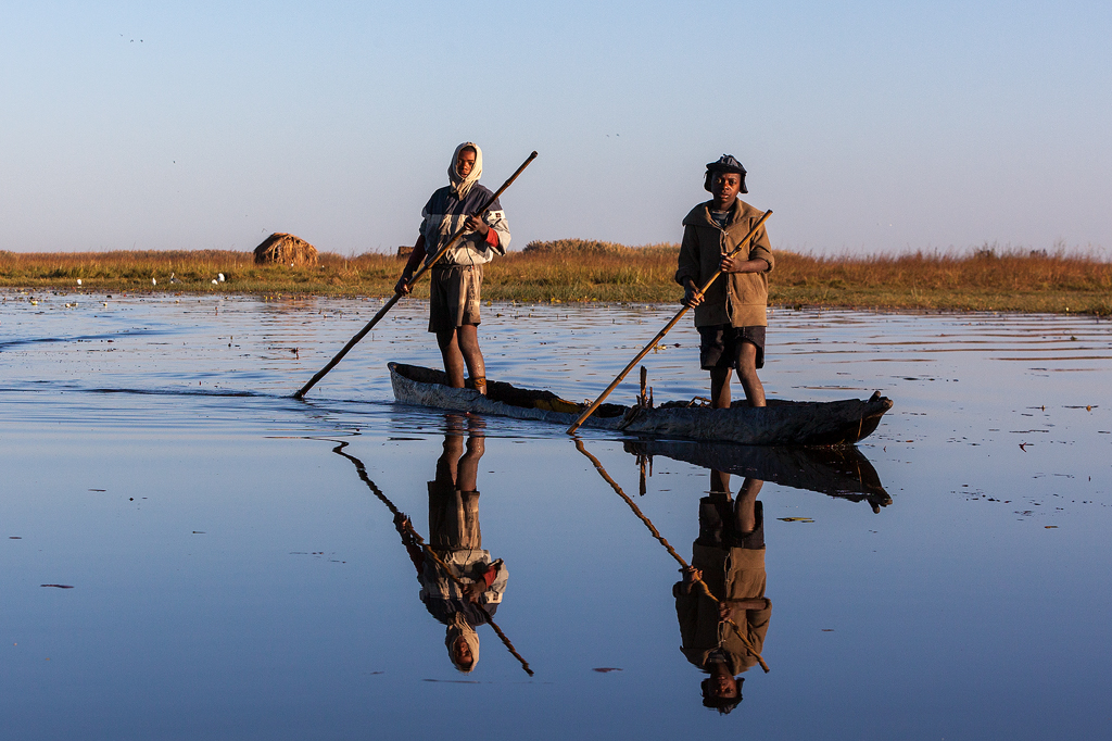 African Parks tweet media