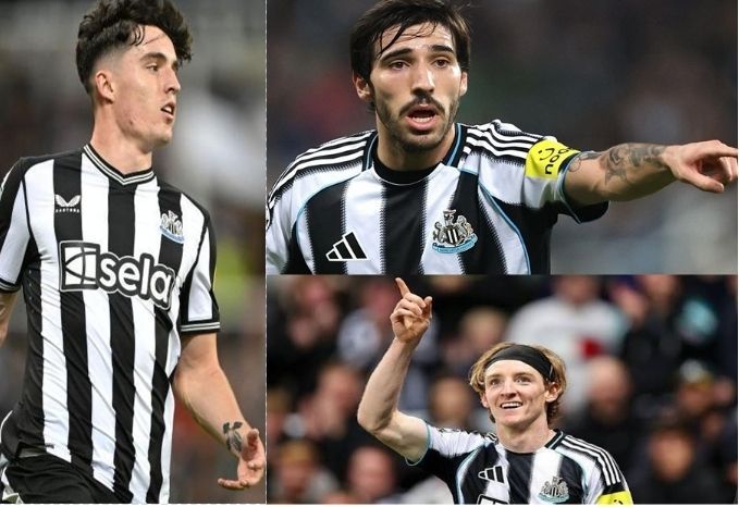 Newcastle Fans TV tweet media