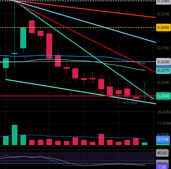 $NWBO 13 consecutive red weekly candles. Never seen in the stock. Still believe in a possible technical move prior to approval.