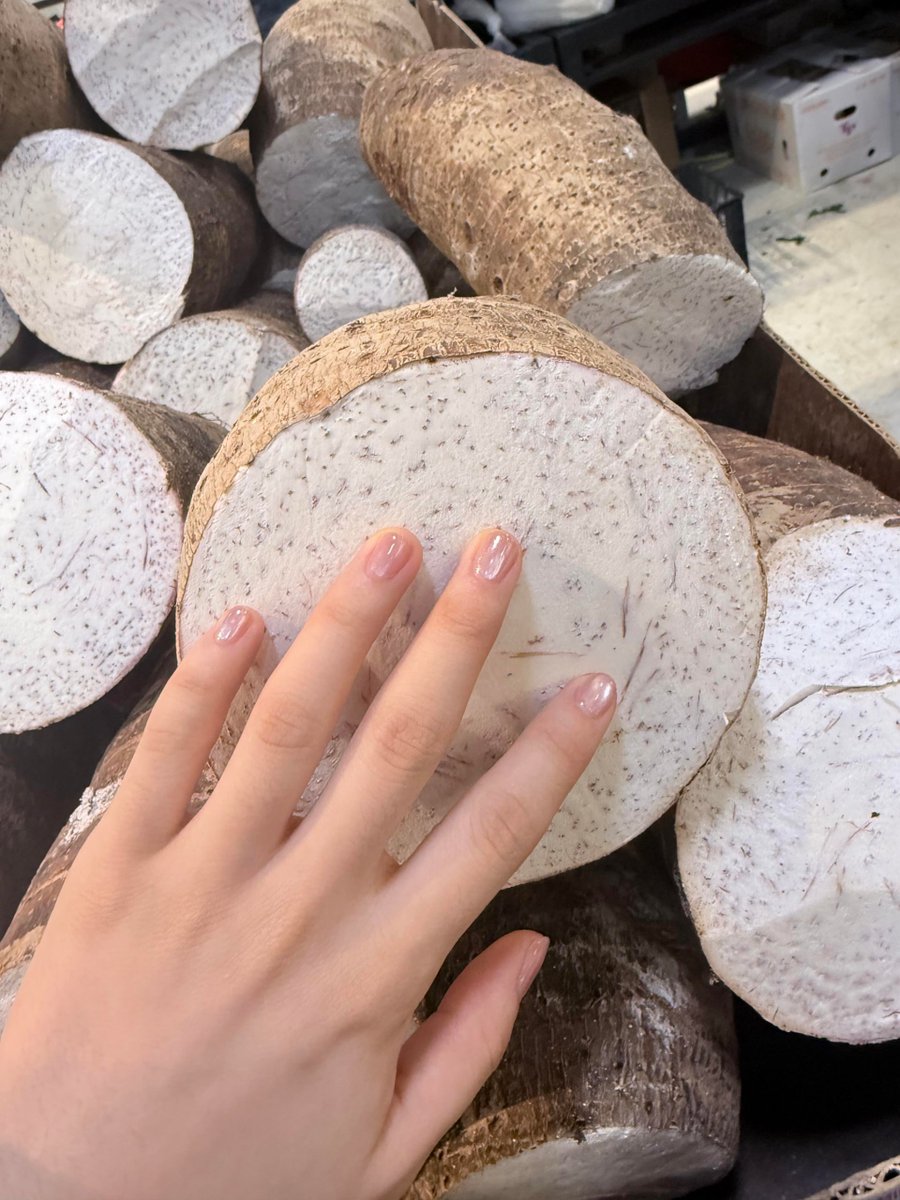 Ananya8889's tweet image. My new nail 💅 
#London
#LondonLife
#LondonCity
#UKTravel
#VisitLondon