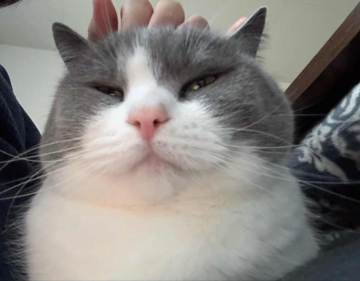 雪見だいふくならぬ福見だいふく😊