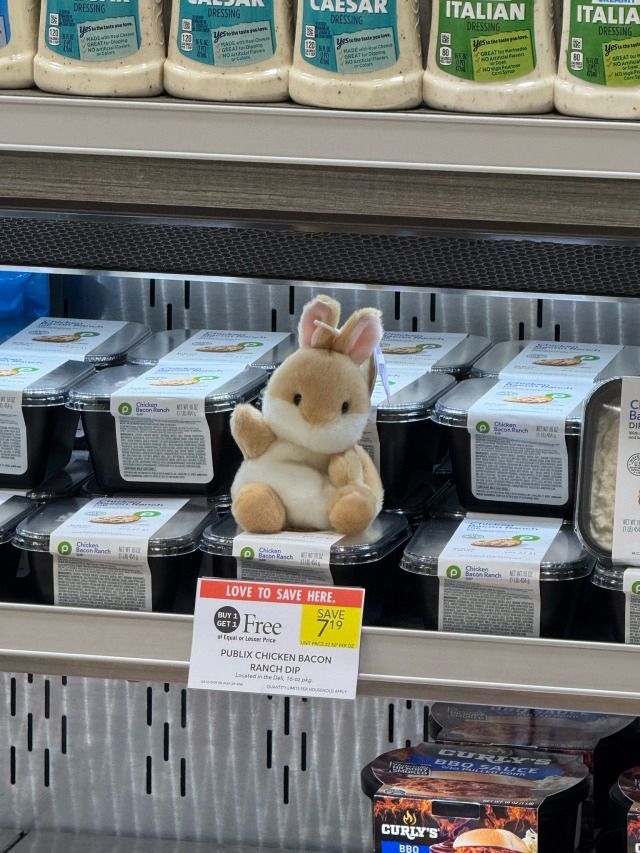 horse dentist tweet media