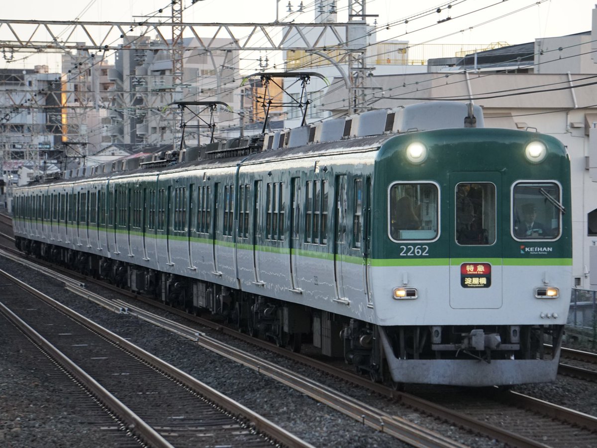 れちゃ🐚 tweet media