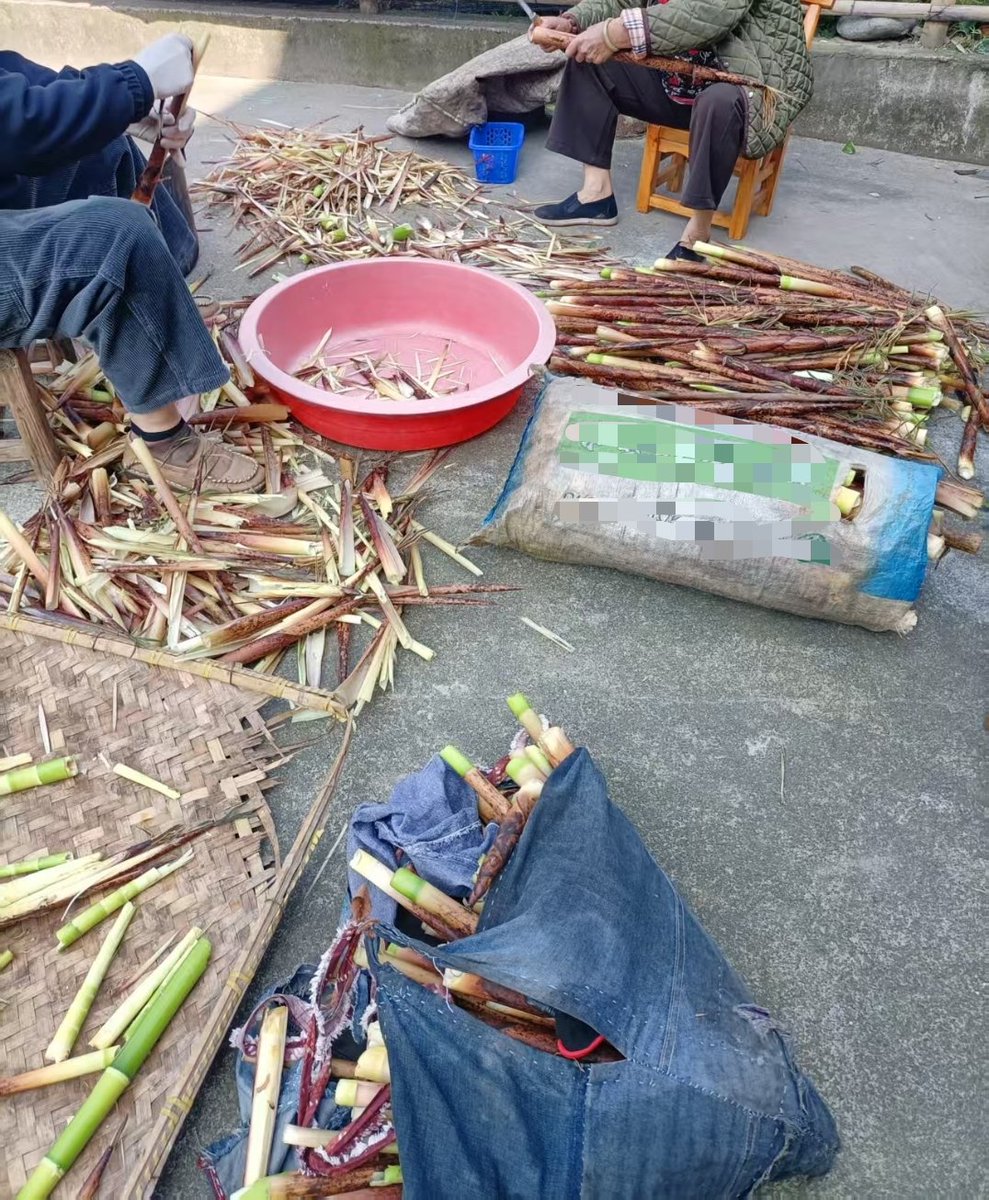 Marryfang 100%fo tweet media