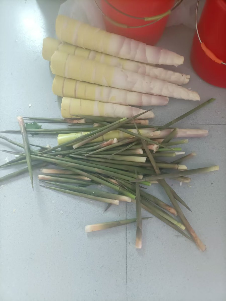 Marryfang 100%fo tweet media