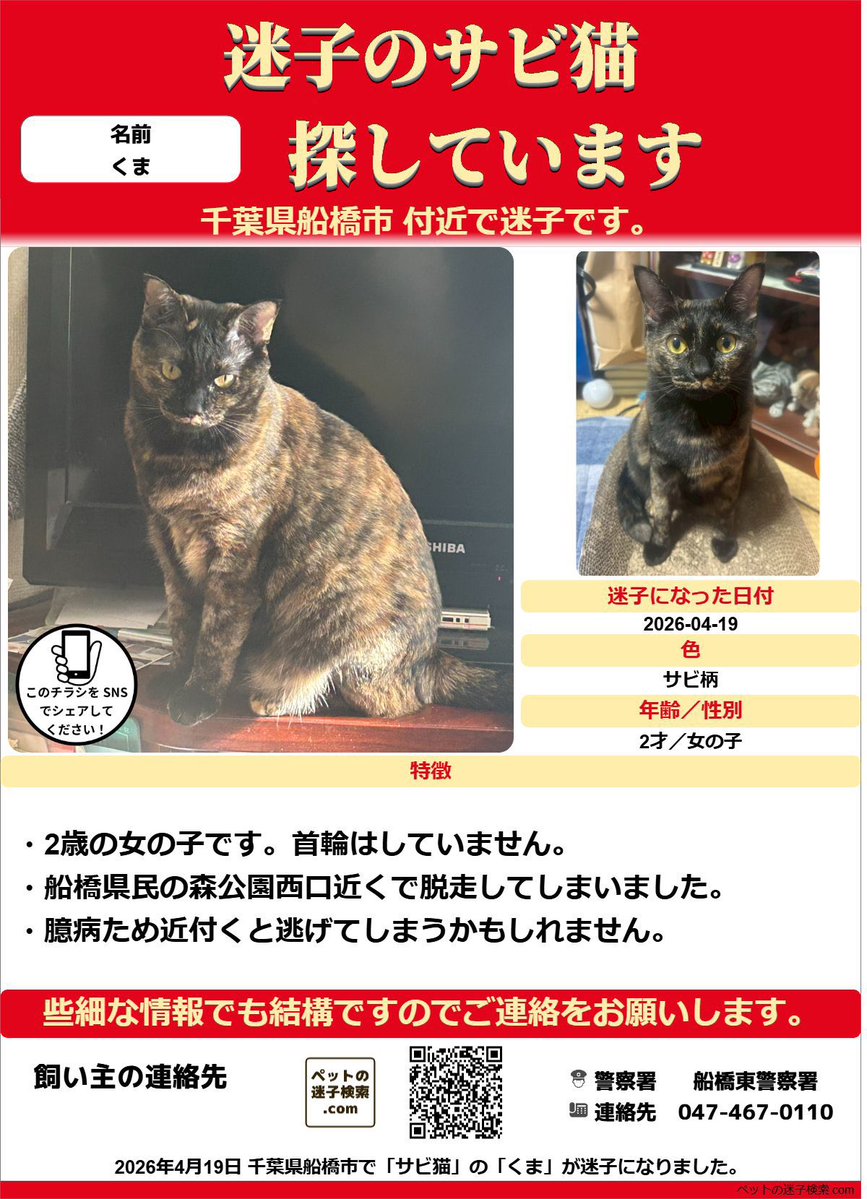 よまわり@猫を探しています tweet media