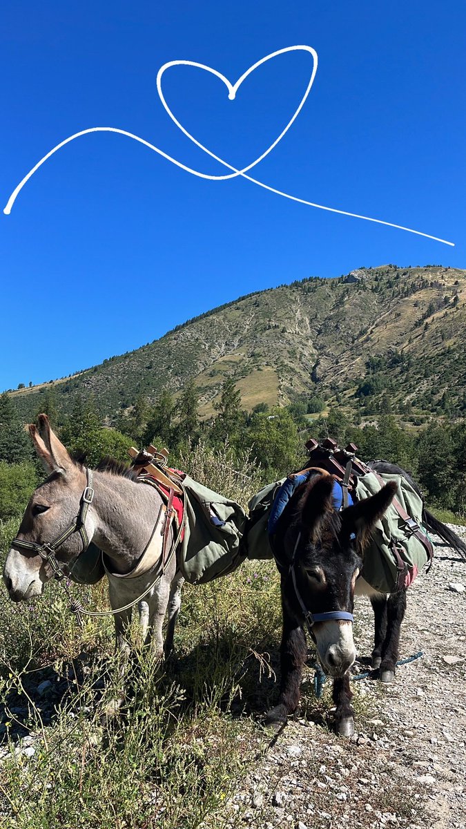 𝘼𝙠𝙨𝙚𝙡 ˙⋆✮ tweet media