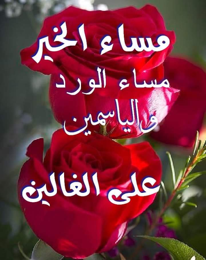 🌺مساكم ورد وفل وياسمين🌺 وعسى السعاده 
بقلوبكم ما تفارق محياكم 🌺 مساء الود والمحبه 
 والريحان والعنبر للغاليين ❤🌺❤ وبروعة 
    ❤ حضوركم الطيب المميز الجميل الطيب ❤