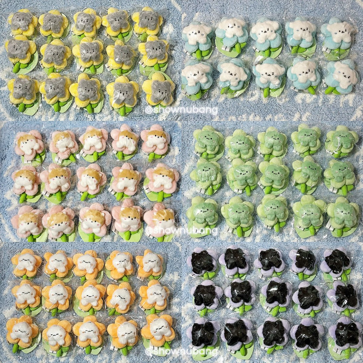 ʚ🧸 셔누방 🧸ɞ tweet media