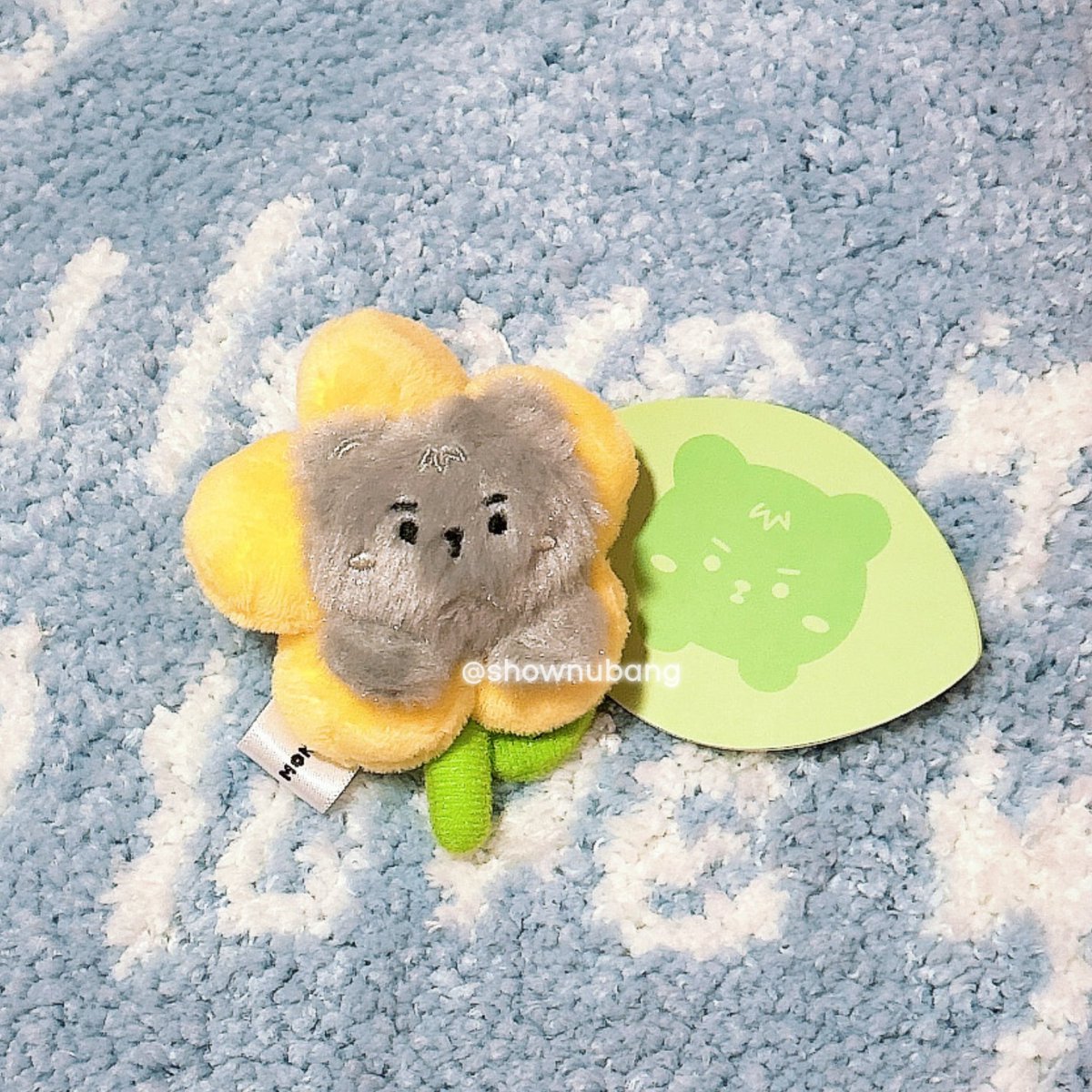 ʚ🧸 셔누방 🧸ɞ tweet media