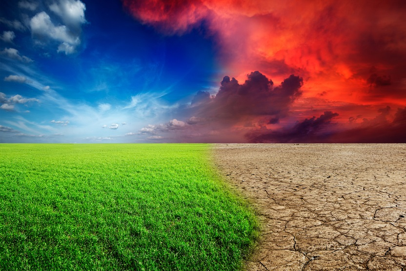 TiredEarth_FR's tweet image. Le coût réel du climat : Pourquoi le réchauffement ne fera « que des perdants »

#TiredEarth #climat
🔗tiredearth.com/news/le-cout-r…