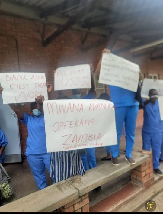 Zimbabwe Nurses Association tweet media