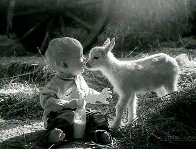 Åñöñymöüs💎 tweet media