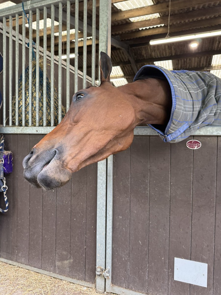 Fergal O'Brien Racing tweet media