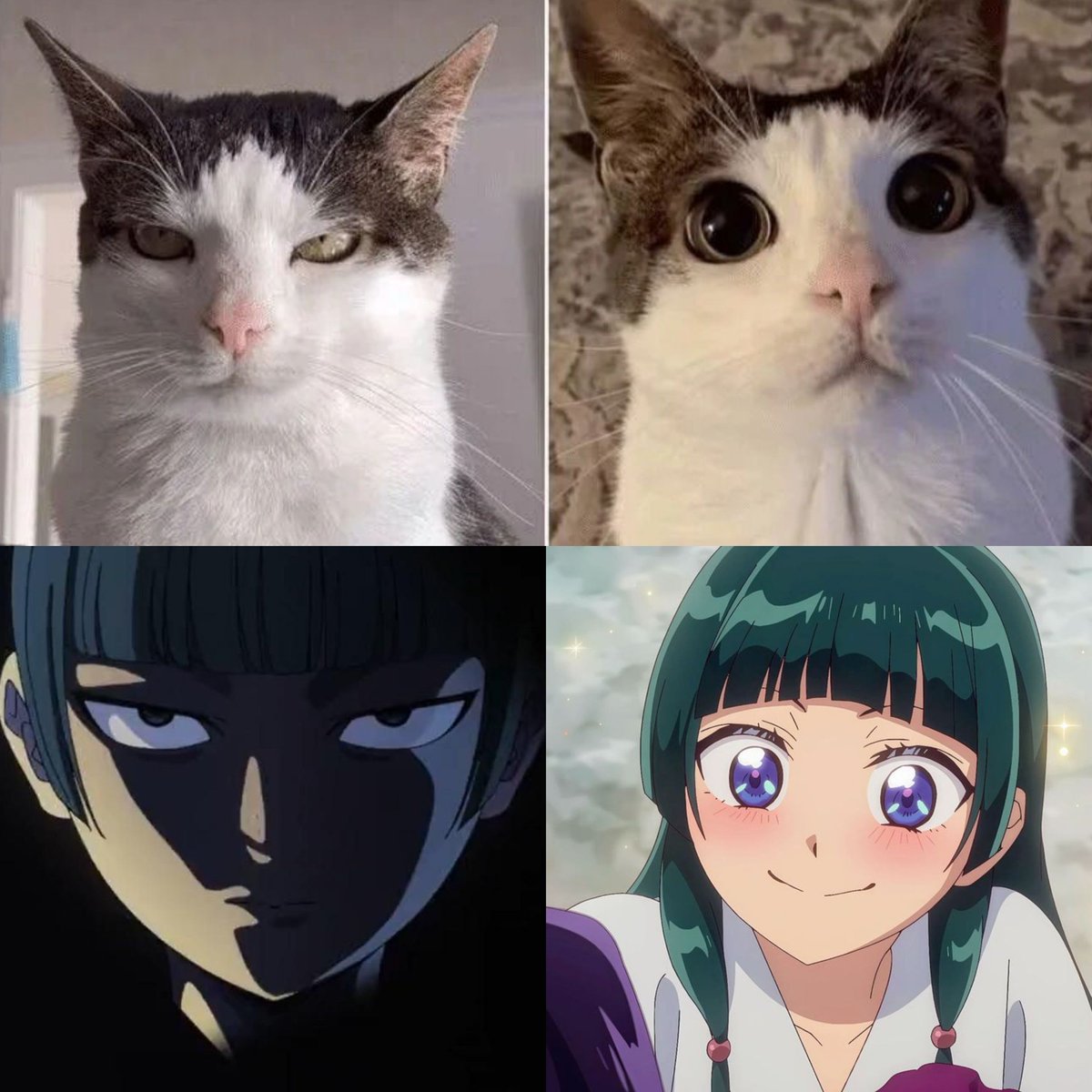 Anime Daily tweet media