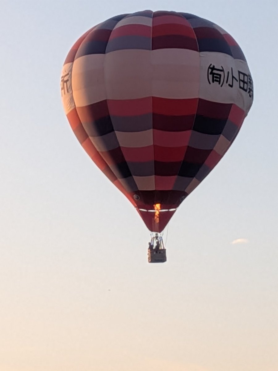 ミヒ♡ョン tweet media