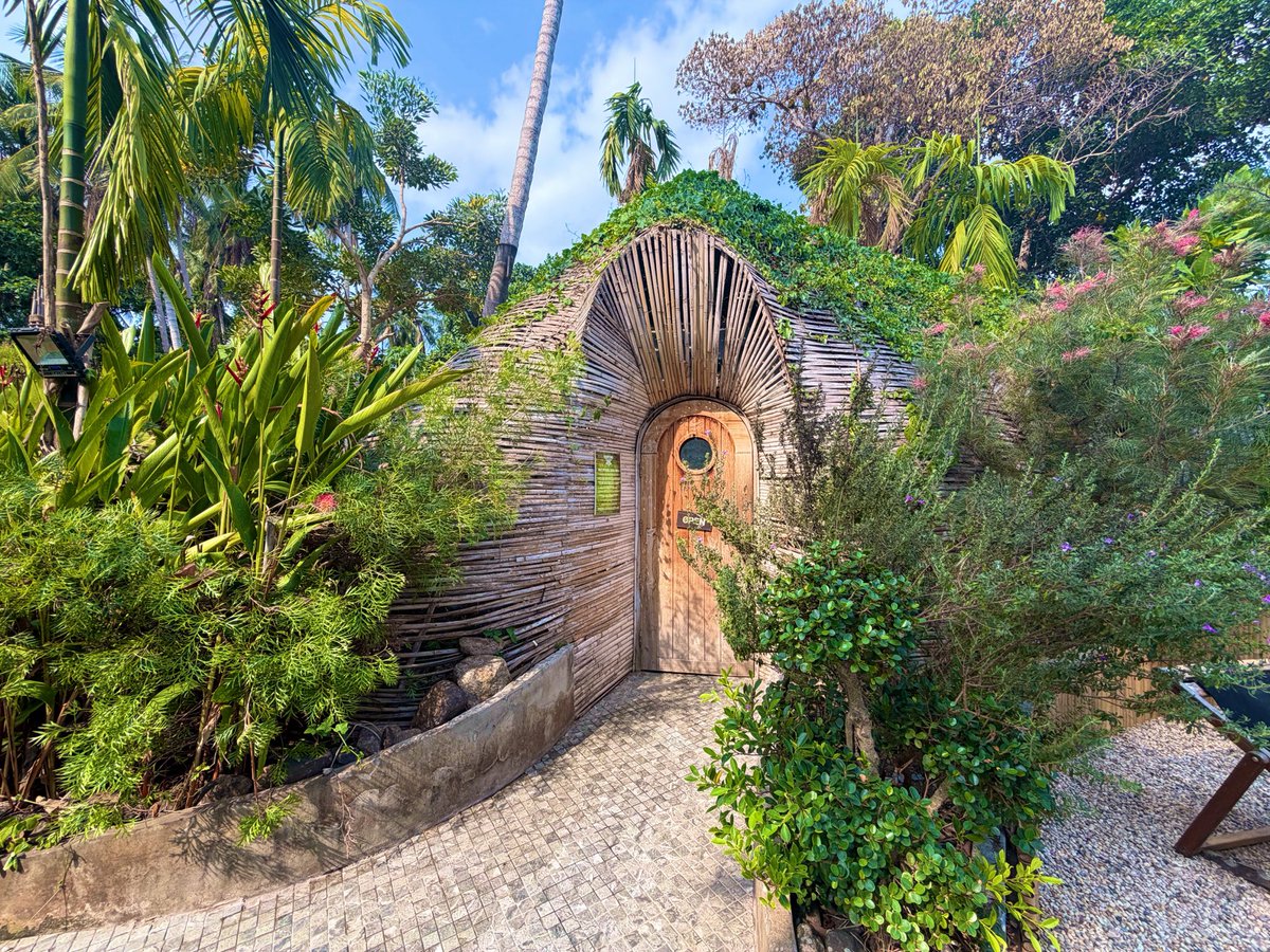 しっぴん٩( 'ω' )و tweet media