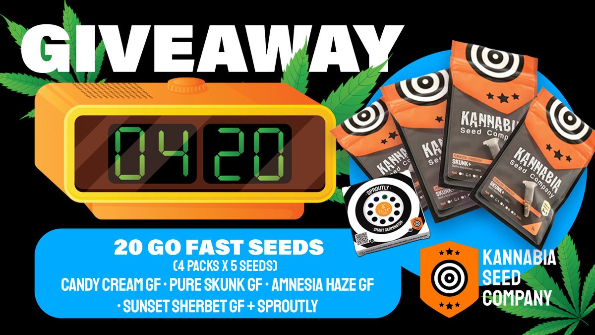 🔥 THE 4:20 CELEBRATION CONTINUES! 🔥
Today we’re giving away a pack of 20 SEEDS (4 packs of 5 units) of our fastest varieties:

• Candy Cream GF
• Pure Skunk GF
• Amnesia Haze GF
• Sunset Sherbet GF
+ 🎁 Kannabia Merch Bundle*.

To enter:
1️⃣ Follow <a href="/KannabiaGlobal/">Kannabia Seeds Global</a>
2️⃣ RT 🔁