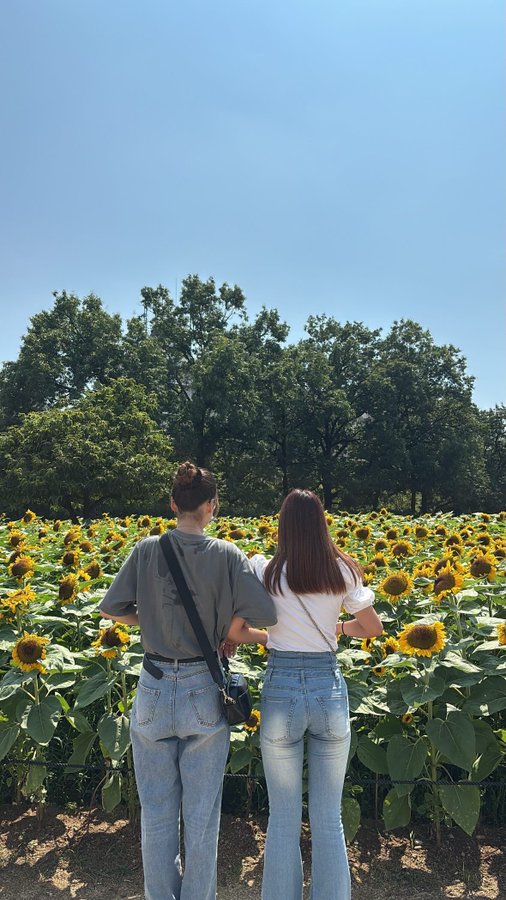 🦋@愛知 tweet media