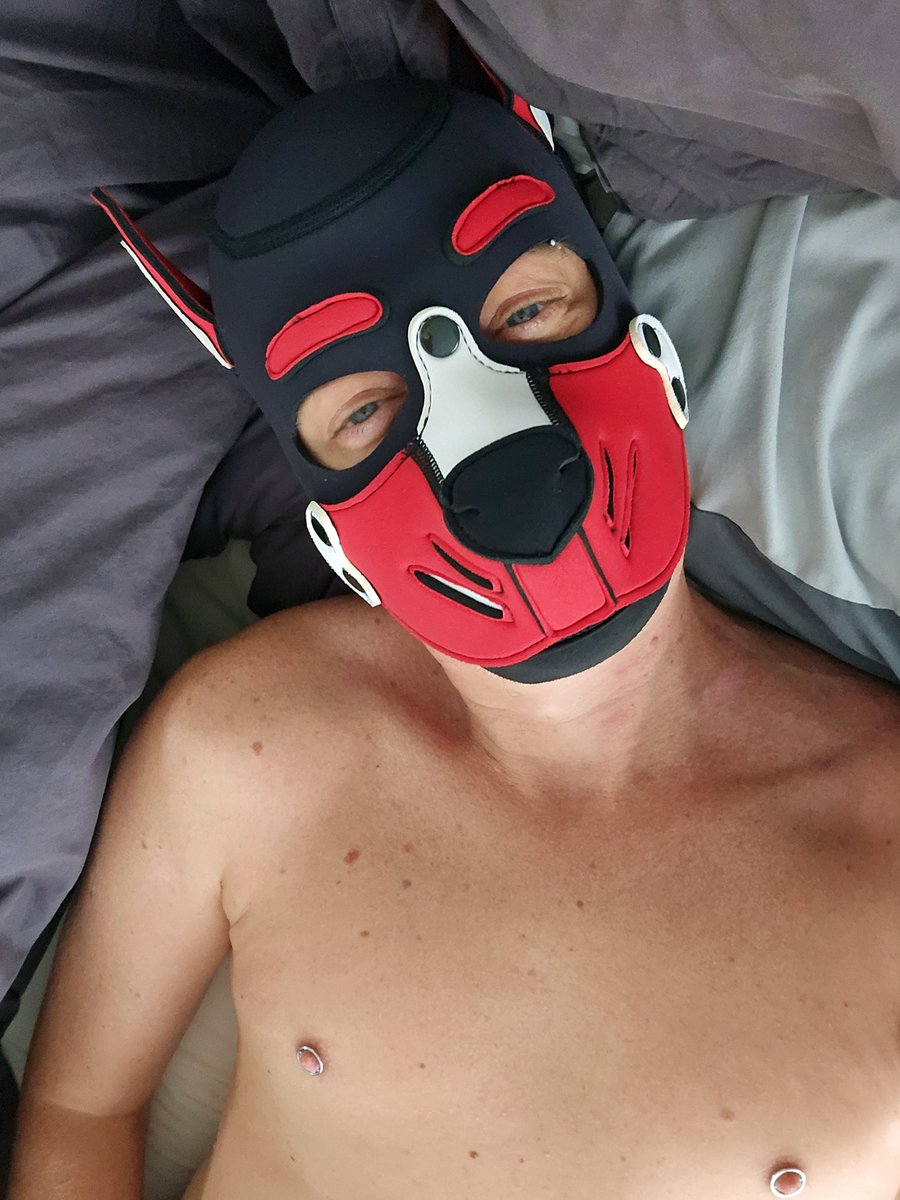 Daemon Doggy tweet media