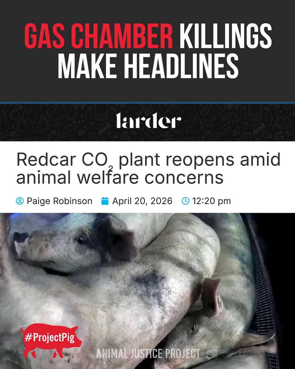 AnimalJusticeProject tweet media