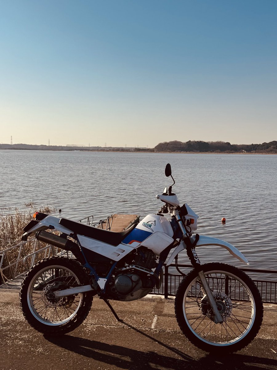 Ninja2300's tweet photo. ①GPZ900R 24年
②YZ250FX 1年5ヶ月
③セロー225 9ヶ月
 #今のバイクに何年乗ってる https://t.co/o5qlms2Xy2