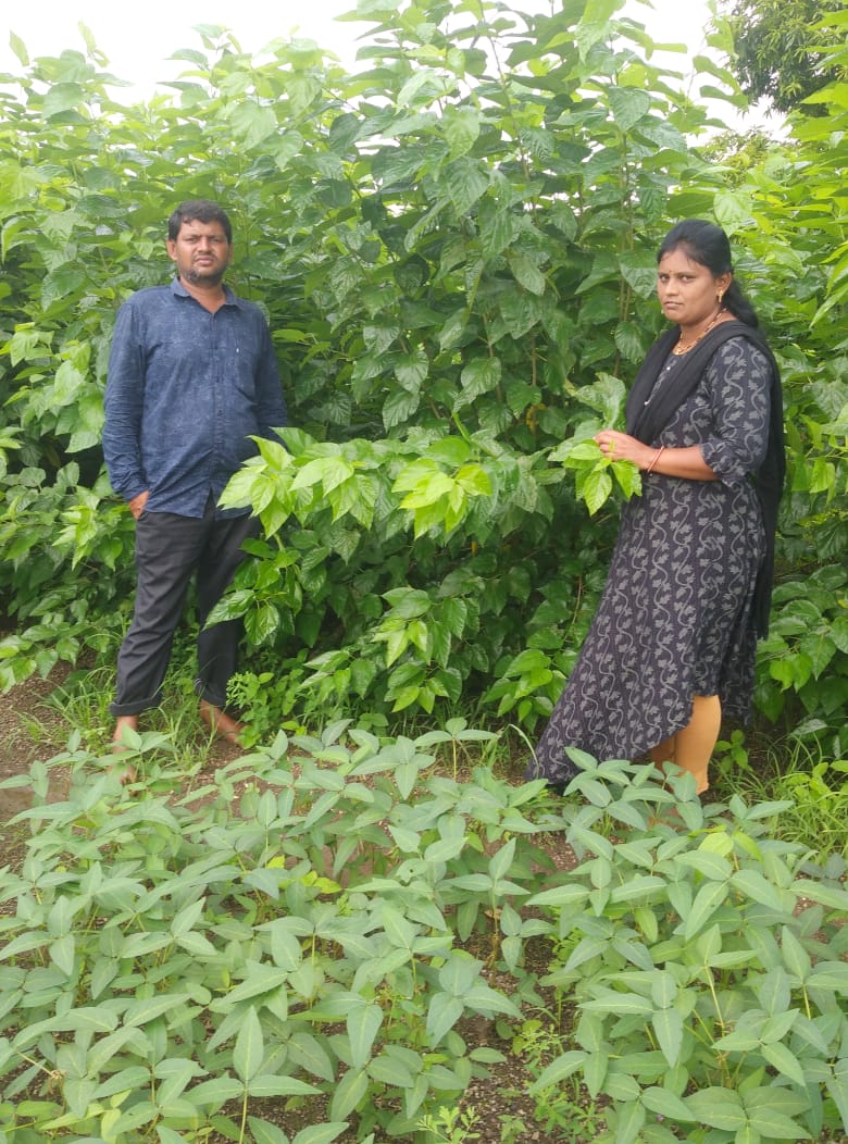 InfoNagpur's tweet image. 🌿 रेशीम शेतीतून प्रगतीचा नवा मार्ग 🐛
💰 जिल्ह्यातील शेतकऱ्यांची एका महिन्यात लाखाची कमाई
📍 नागपूर, दि. २१ - एप्रिल महिन्याचा रणरणता उन्हाळा... अंगाचे लाहीलाही करणारा ४२ ते ४५ अंश सेल्सिअस तापमान..आणि समोर पारंपरिक पिके.
#Nagpur #Farmers #SuccessStory #Maharashtra @MahaDGIPR