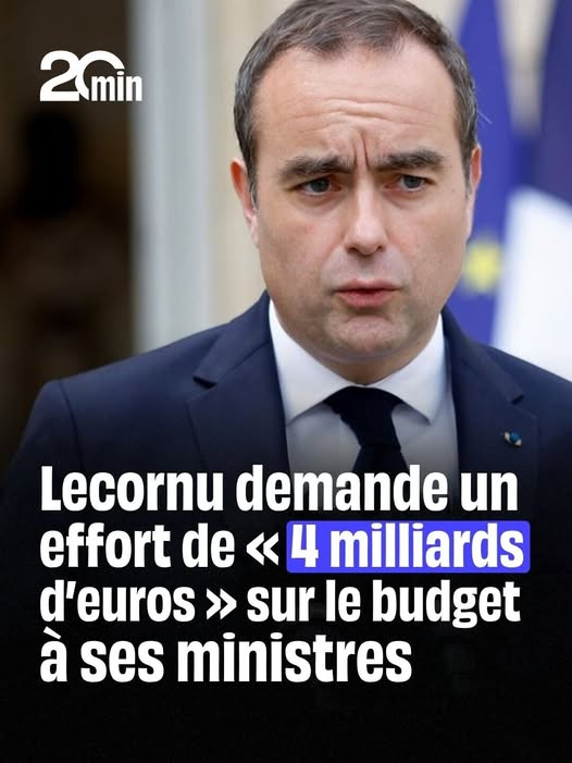 Lili Adresan🌺 tweet media