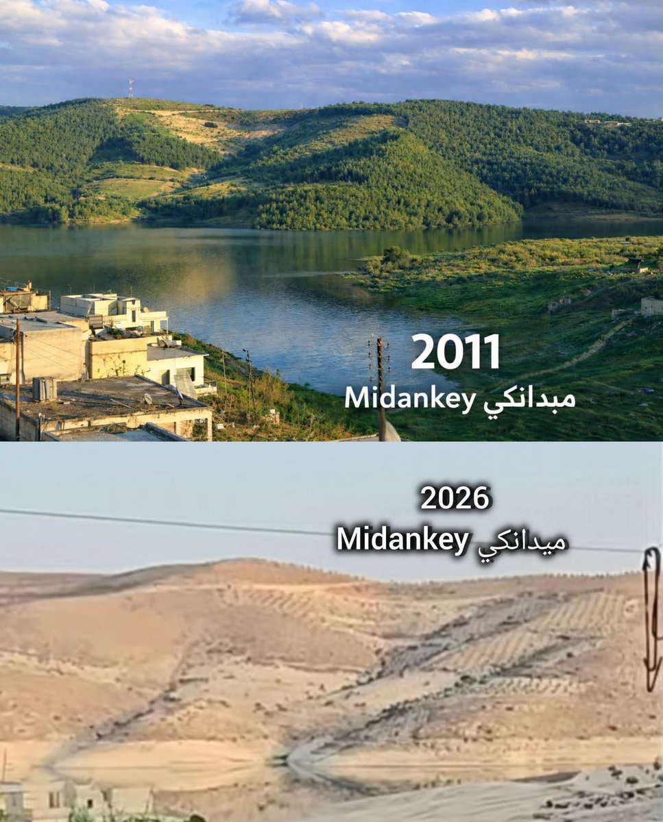 Fûrat shalbî tweet media