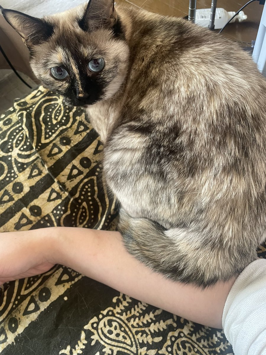 ８３５ tweet media