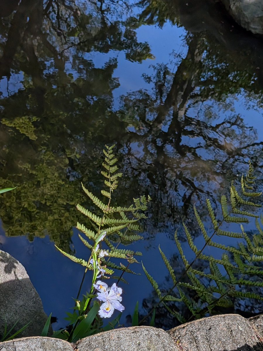 かいこつ tweet media