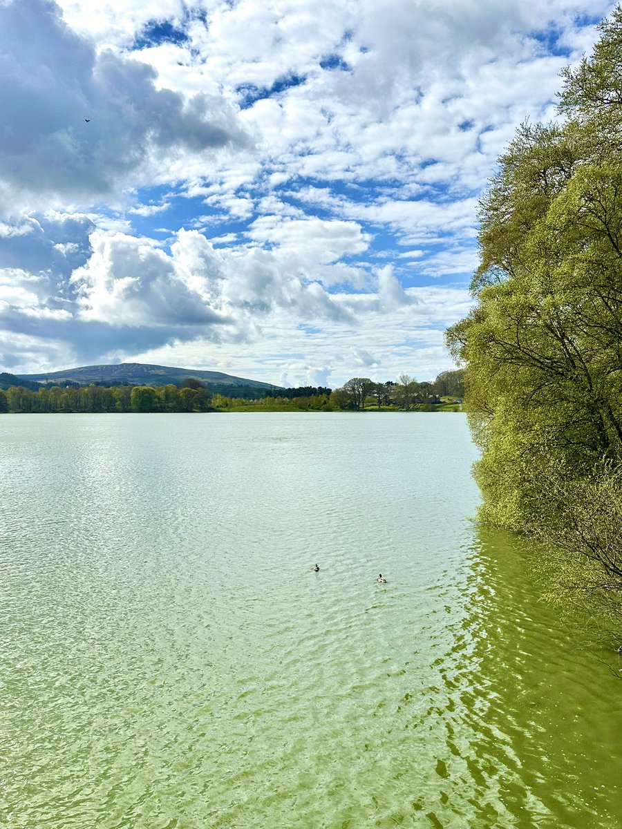 steveblakephoto's tweet photo. It’s a lovely morning at Talkin Tarn today and another day of my spring exhibition. Open 10am - 5pm daily until 25th April (closed Thursday 23rd), it would be great to see you. #talkintarn #discoverCarlisle #photography #outdoors #walking #ThePhotoHour #StormHour https://t.co/3hJUXhNJDF