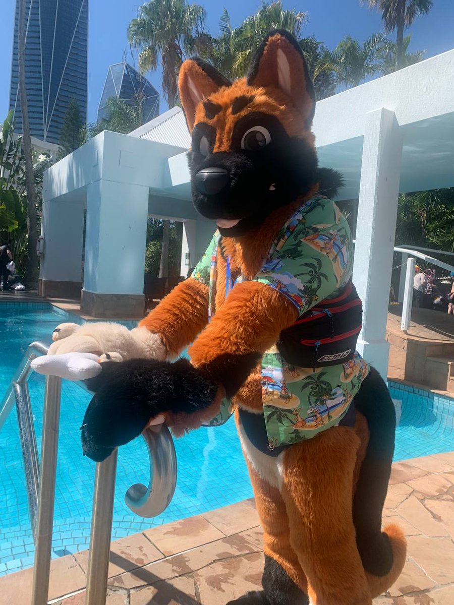 Reyfar's tweet photo. Sun, sand and Shep!

Was a great weekend away being a dog at #FurDu2026

🧵: @stitchupsuits https://t.co/DJdPkfR0xX
