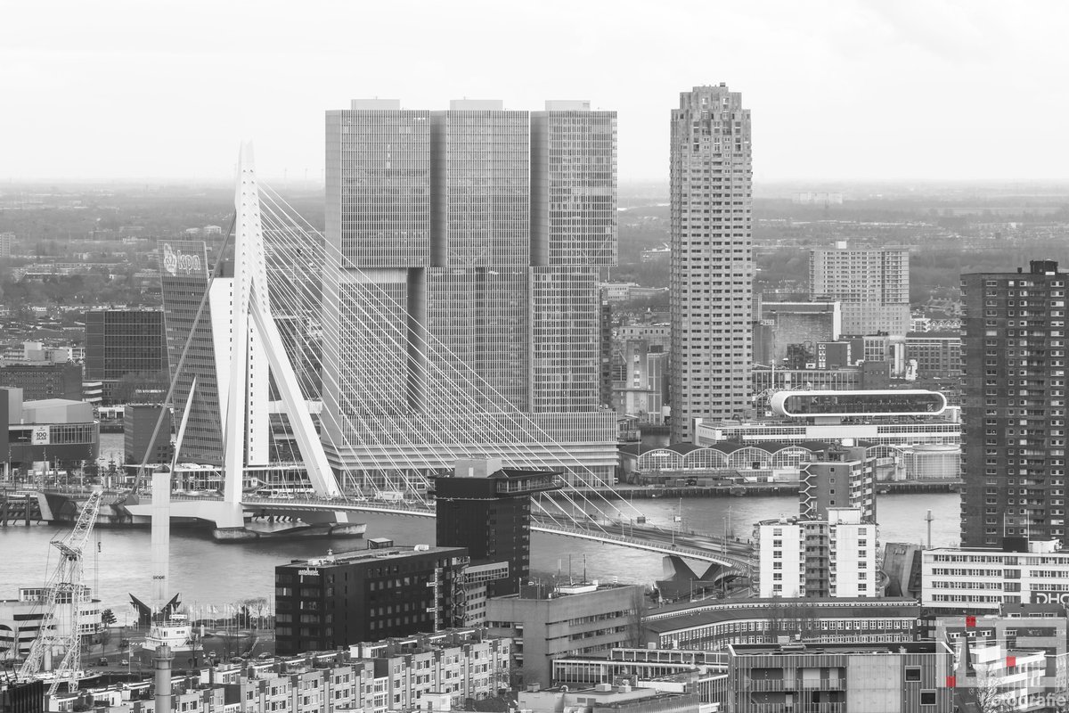 010byday's tweet image. De #Erasmusbrug in #Rotterdam door @marcvanderstelt als afdruk op canvas of #print? Verkrijgbaar via shop.ms-fotografie.nl
.
.
.
#picfee #werkaandemuur #sfeeraandemuur #artheroes #benrobenelux #fujifilm #fujifilmnederland