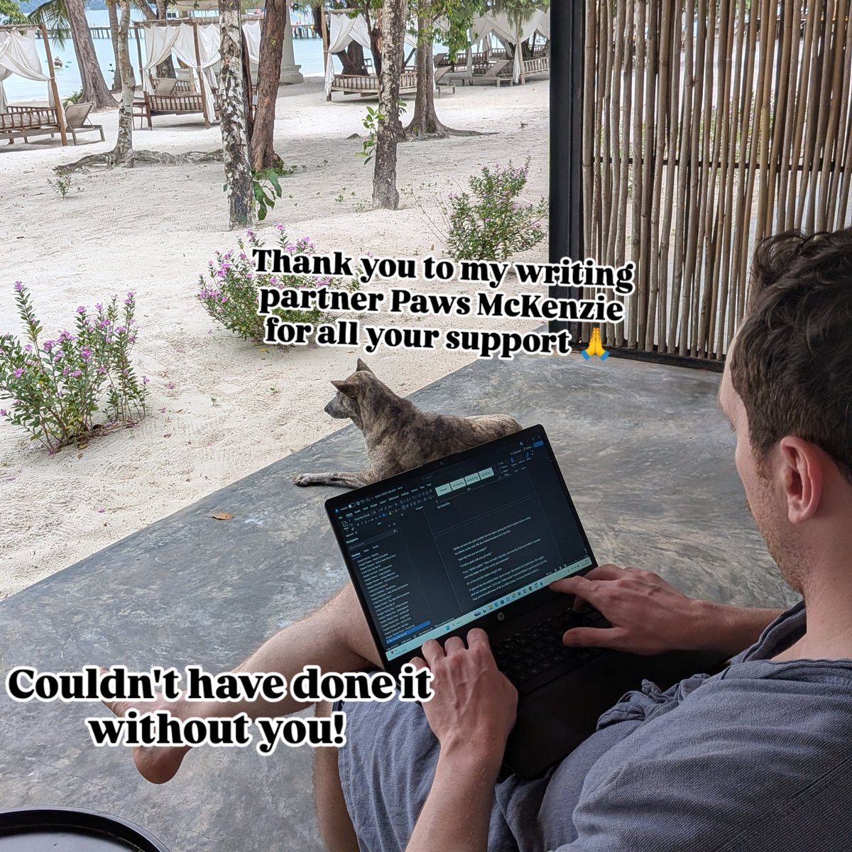 Seán O'Boyle tweet media