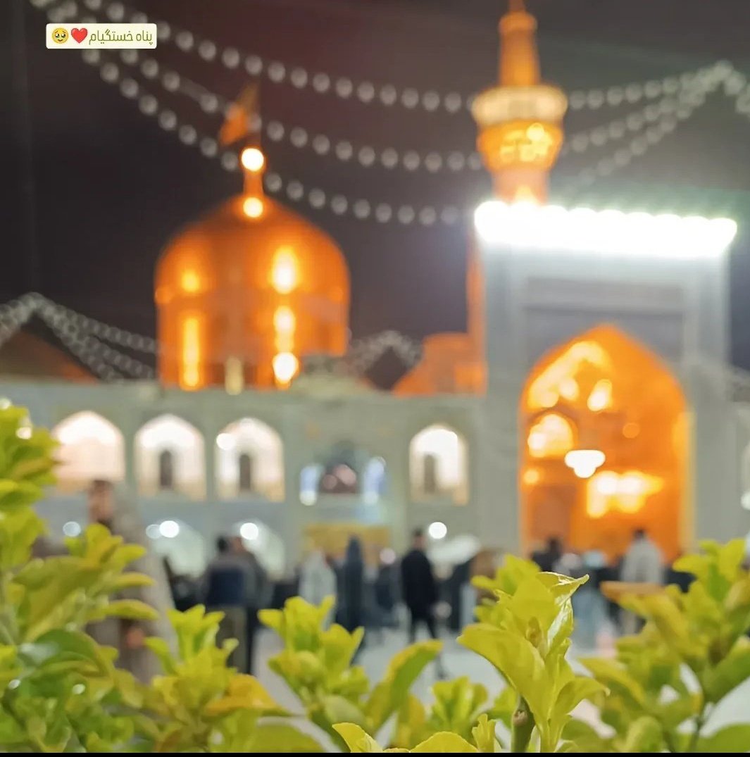 DshtyRahlh51326's tweet photo. امشب دلِ من پر از آرامشه

چون اسم رضا روی لب‌ها می‌درخشه

میلادشه و طوس شده غرقِ نور

آقا دلِ ما همیشه با تو خوشه 🌿✨#ایران_درآغوش_رضا
#ایران_امام_رضا https://t.co/xeyJqwWmLb