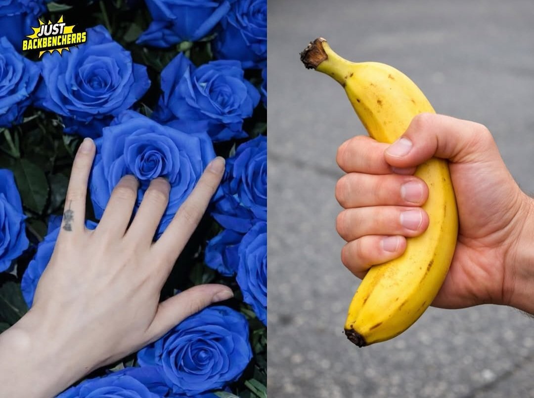 _Kangchi_😎 tweet media