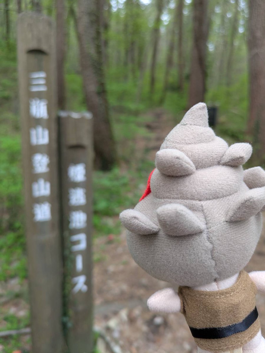 らとちゃん【公式】 tweet media