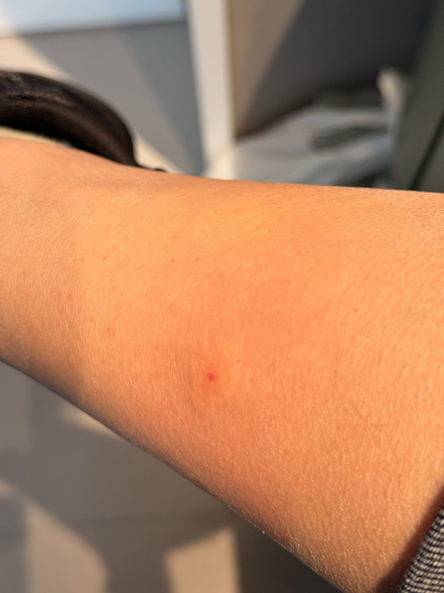 文子🔆 tweet media